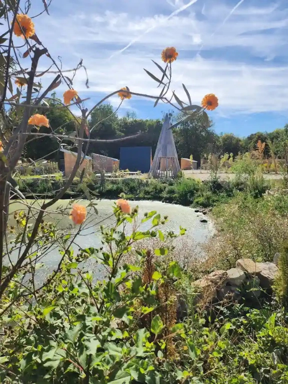 The Pond